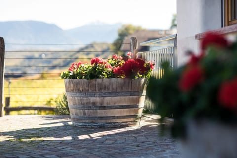 Weingut Donà Farm Stay in Trentino-South Tyrol