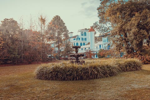 Garden, Autumn