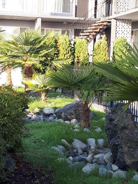 Property building, Garden, Garden view