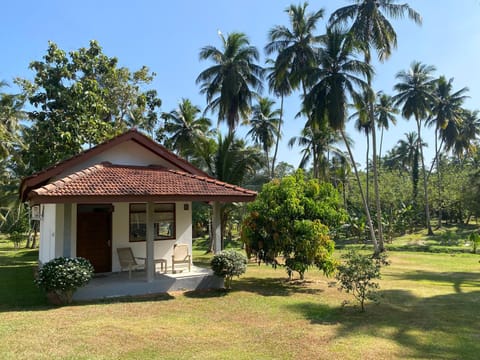 Ambarella Lodge - Katunayake Hotel in Western Province