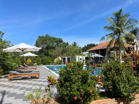 Pool view, Swimming pool