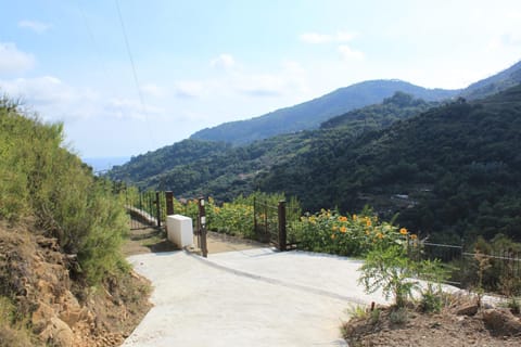 Natural landscape, Hiking