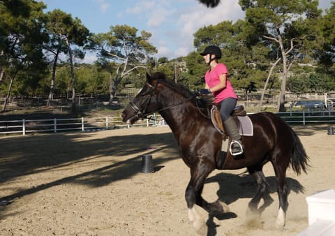 Neighbourhood, Horse-riding, On site