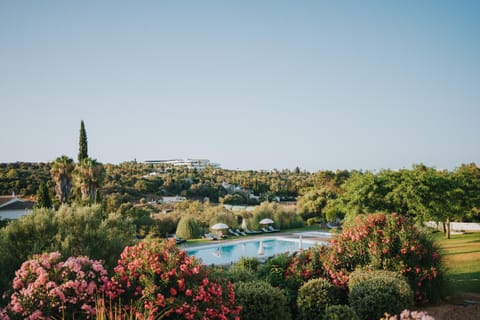 Garden, Pool view, Swimming pool