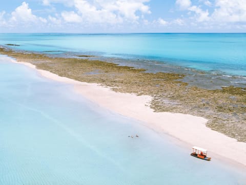 Natural landscape, Beach