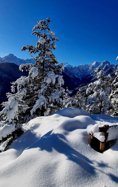 Farm Stay "Alpine Dreams" Farm Stay in Carinthia, Austria