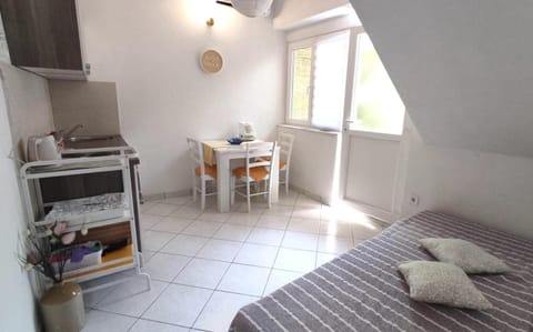 Kitchen or kitchenette, Photo of the whole room, Dining area