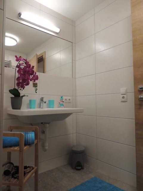 Bathroom, Photo of the whole room