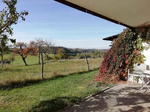 Natural landscape, Garden view