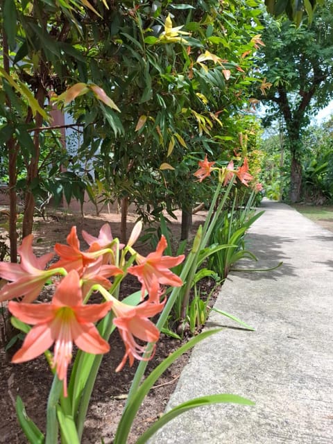 Bang Po Garden Resort in Ko Samui