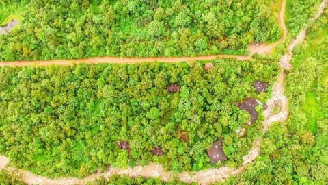 Natural landscape, Bird's eye view, Hiking