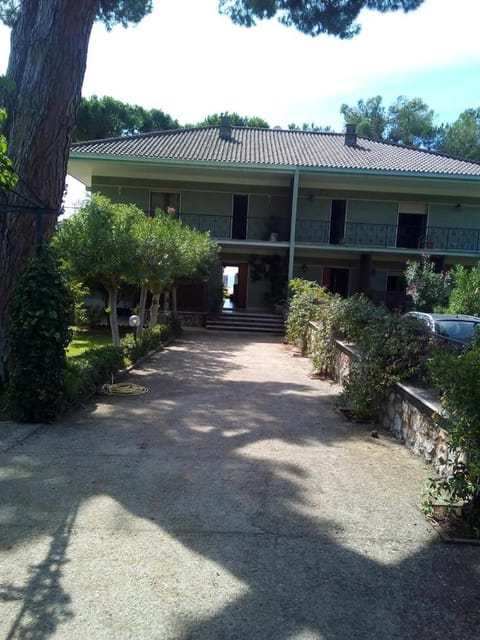 Property building, Spring, Garden, Garden view