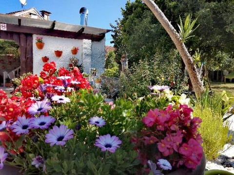 Garden, Garden view