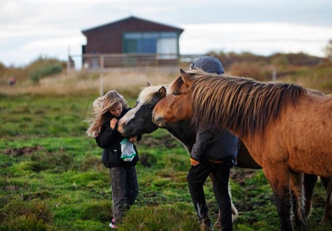 Horse-riding