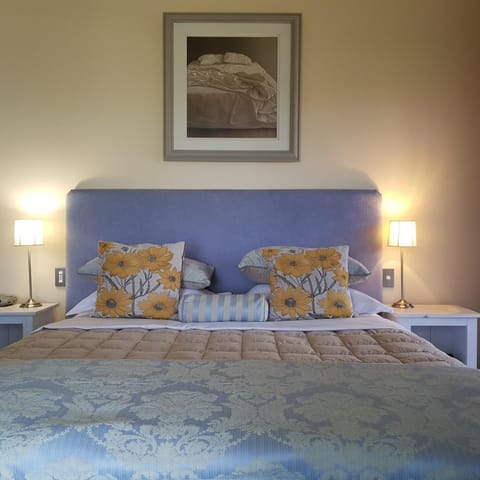Hawkdun Rise Vineyard & Accommodation Bed and Breakfast in Alexandra