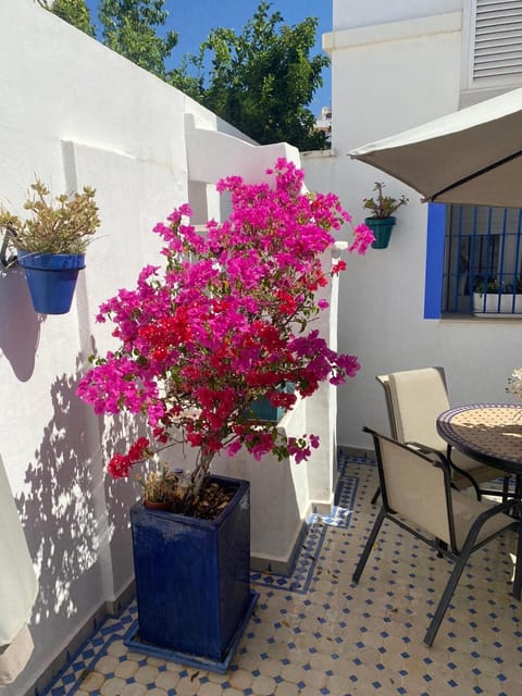 Patio, Balcony/Terrace