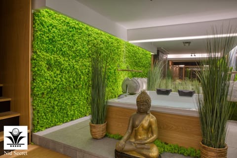 Panoramique 180 lac et montagne et Nid Secret spa romantique Apartment in Annecy