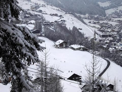 Almhof Apartment in Soelden