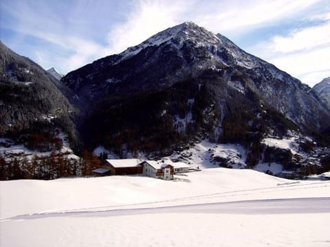 Almhof Apartment in Soelden