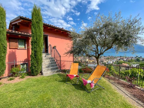 Garden, Garden view, sunbed