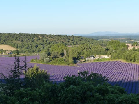 View (from property/room), View (from property/room), Garden view, Garden view, Landmark view