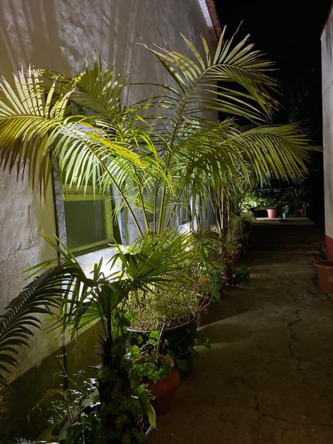 Patio, Garden