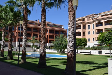 Garden, On site, Swimming pool