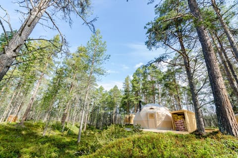 GLØD Aurora Canvas Dome Luxury tent in Lapland