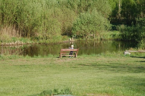 Garden, Area and facilities