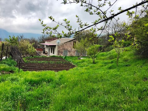 Property building, Spring, Garden