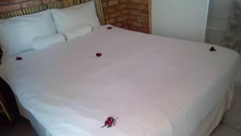 Pandeinge Bed and Breakfast in Windhoek