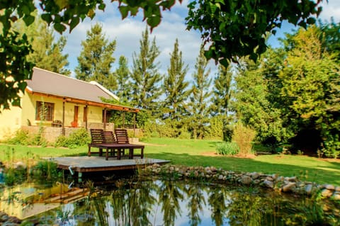 Day, Garden, Garden view, Pool view, Swimming pool