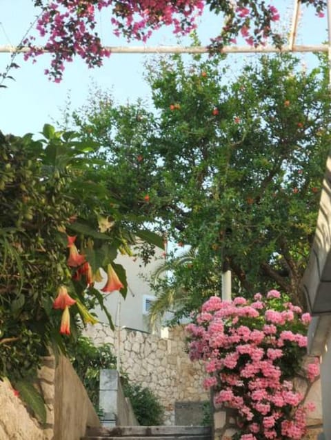 Facade/entrance, Garden view