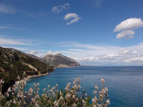 Calagonone villetta con giardino e barbecue Appartement in Cala Gonone