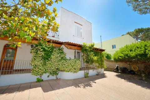 Property building, Spring, Day, Garden, Garden view