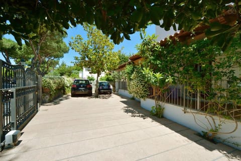 Spring, Day, Neighbourhood, Natural landscape, Garden, Garden view, Parking