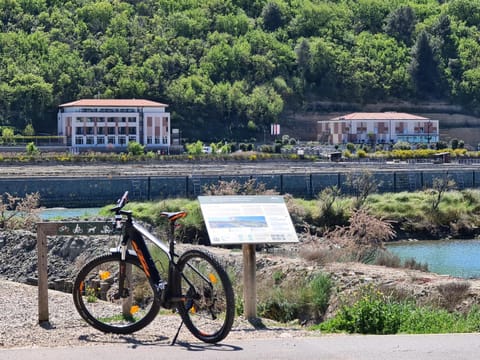 Activities, Cycling, Cycling, Lake view