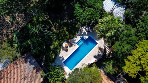 Natural landscape, Garden view, Swimming pool