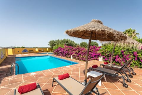 Balcony/Terrace, Swimming pool