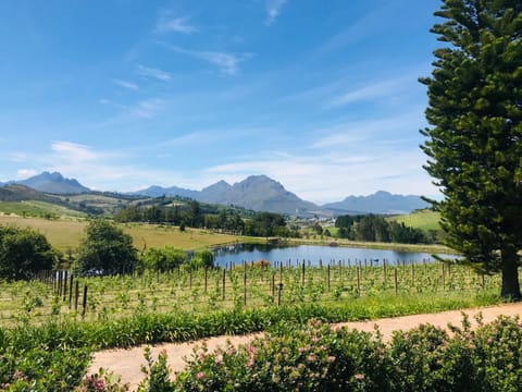 Winelands guest room Apartment in Stellenbosch