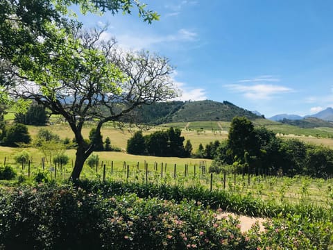 Winelands guest room Condo in Stellenbosch