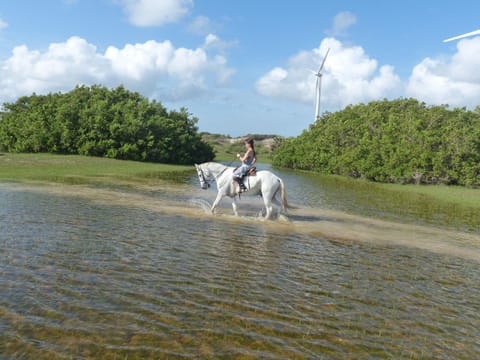 Horse-riding