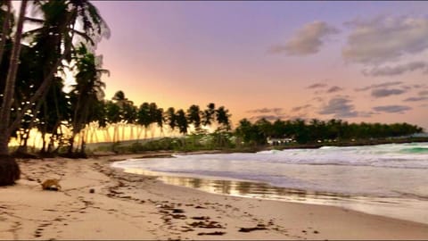 Baoba Breeze Bed & Breakfast- beachfront paradise Chambre d’hôte in Cabrera