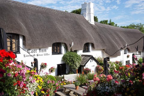 The Cott Inn Inn in Totnes