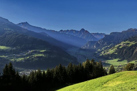 Apart Bergkristall Zellberg Apartment in Tyrol