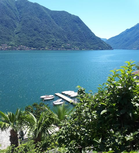 Natural landscape, View (from property/room)