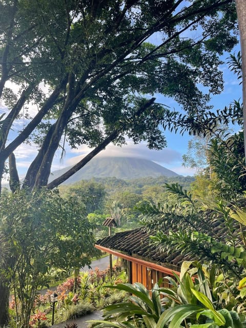 Hotel Kokoro Mineral Hot Springs Hotel in Alajuela Province