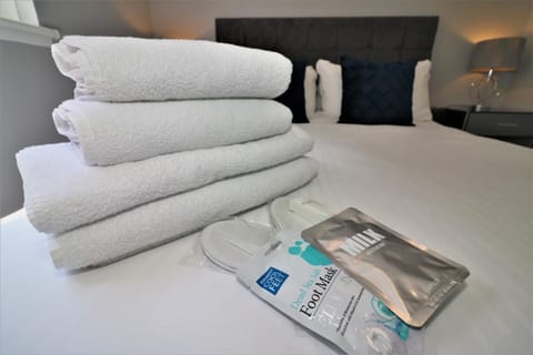 2 Bedroom Apartment at SECC Hydro FREE PARKING Apartment in Glasgow