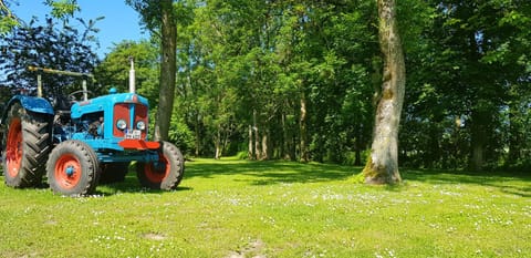 Spring, Garden, Garden view