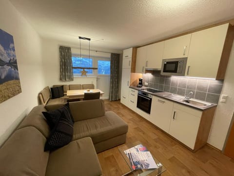 Kitchen or kitchenette, kitchen